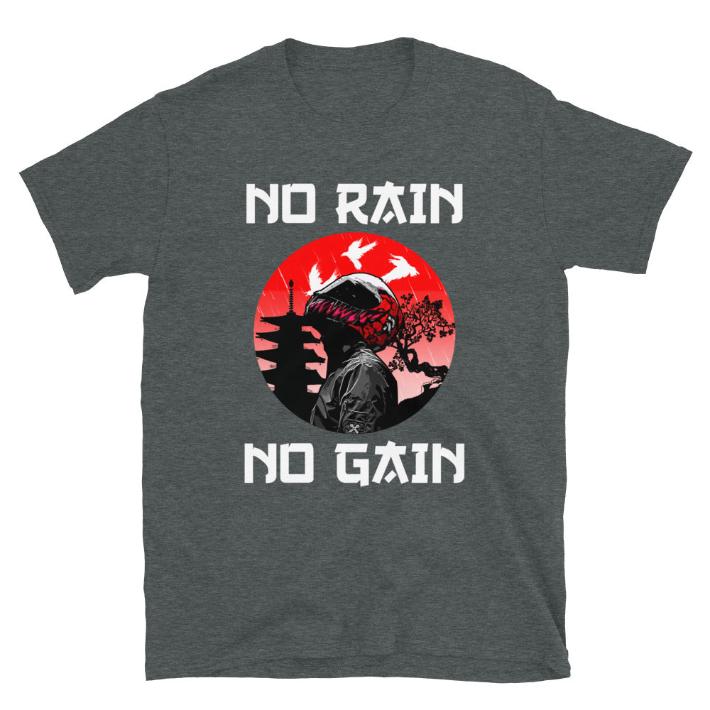 NO RAIN NO GAIN T-SHIRT